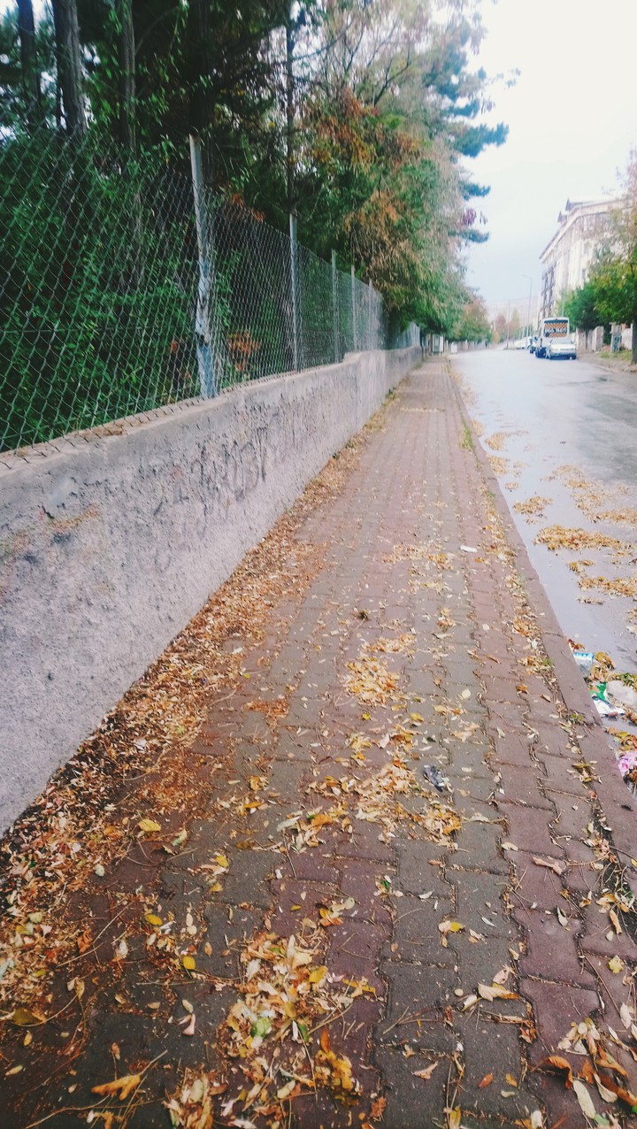 Autumn