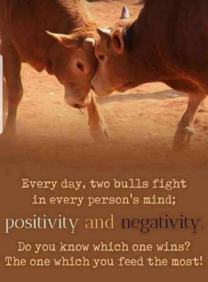 motivation