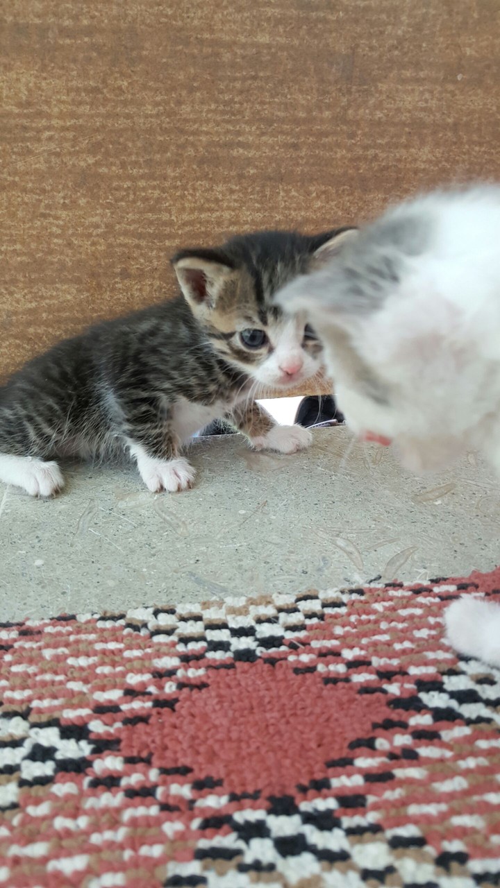 cuteee