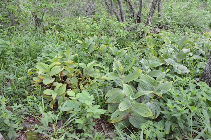 산이미지