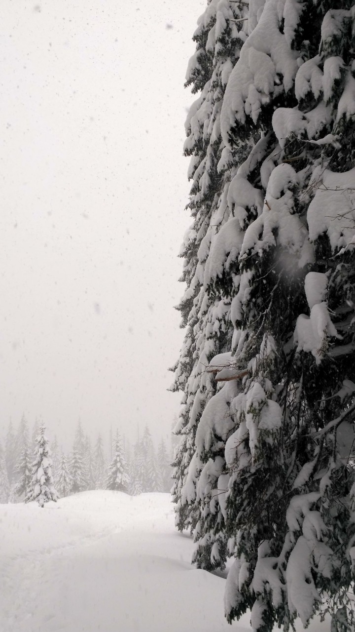 Let it snow