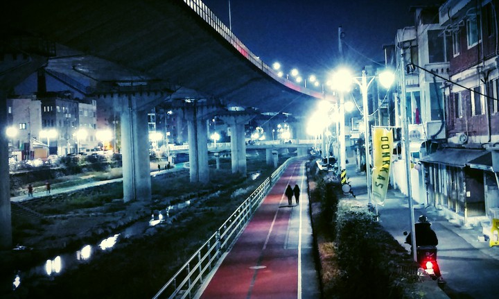 밤 산책로
