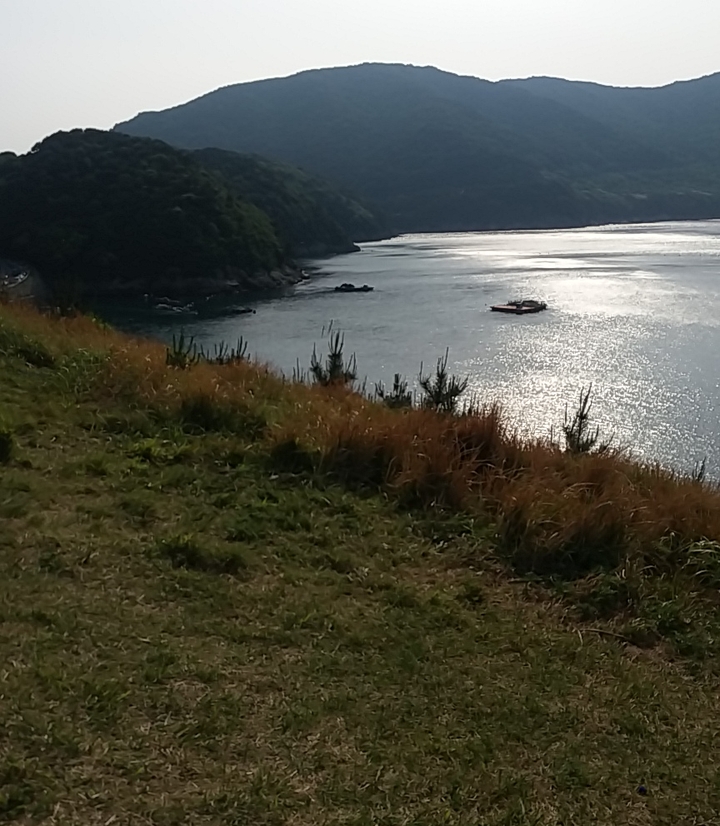 들판&바다