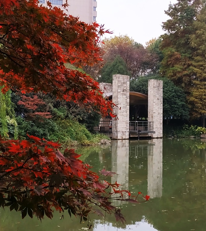 shanghai park
