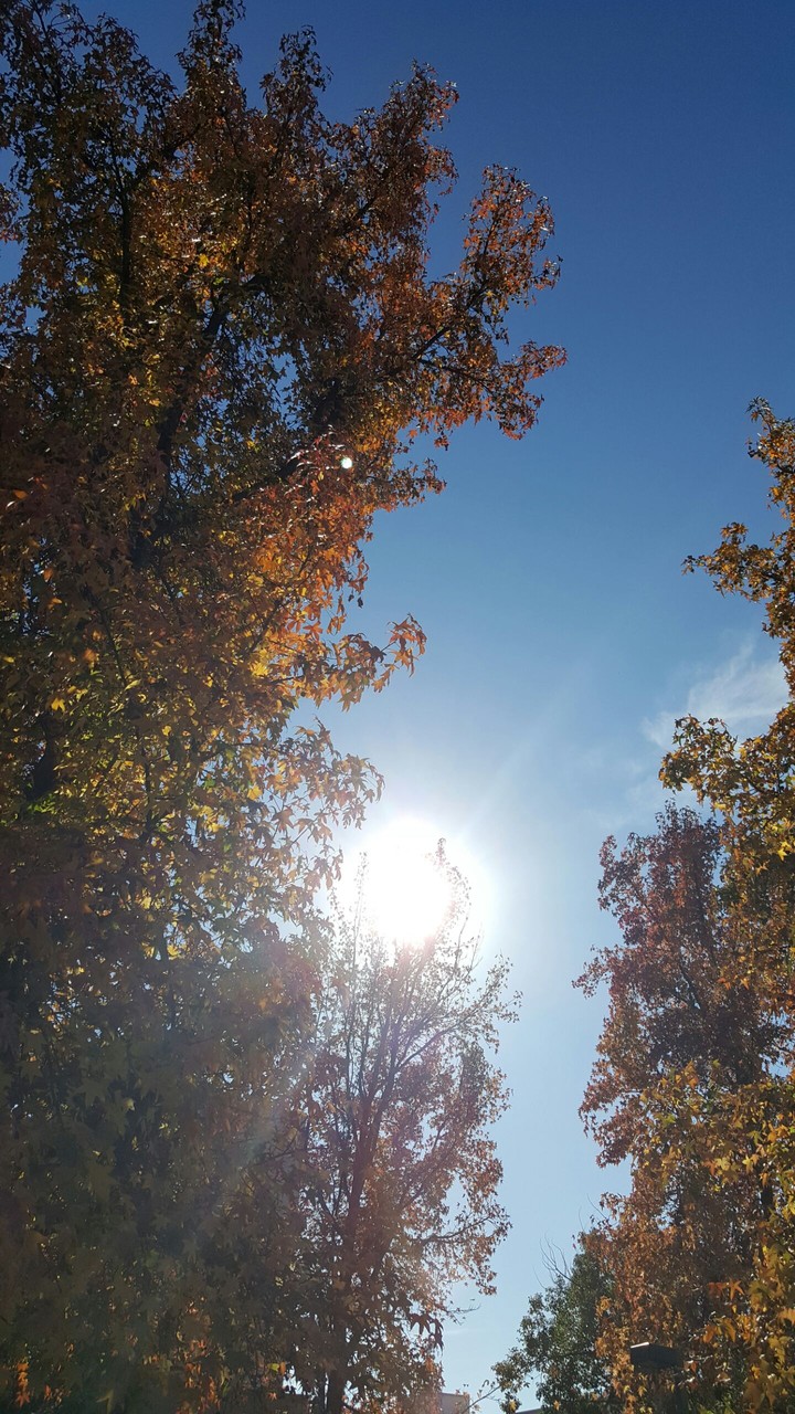 between the sun