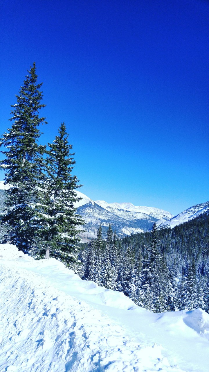 Colorado Mountains