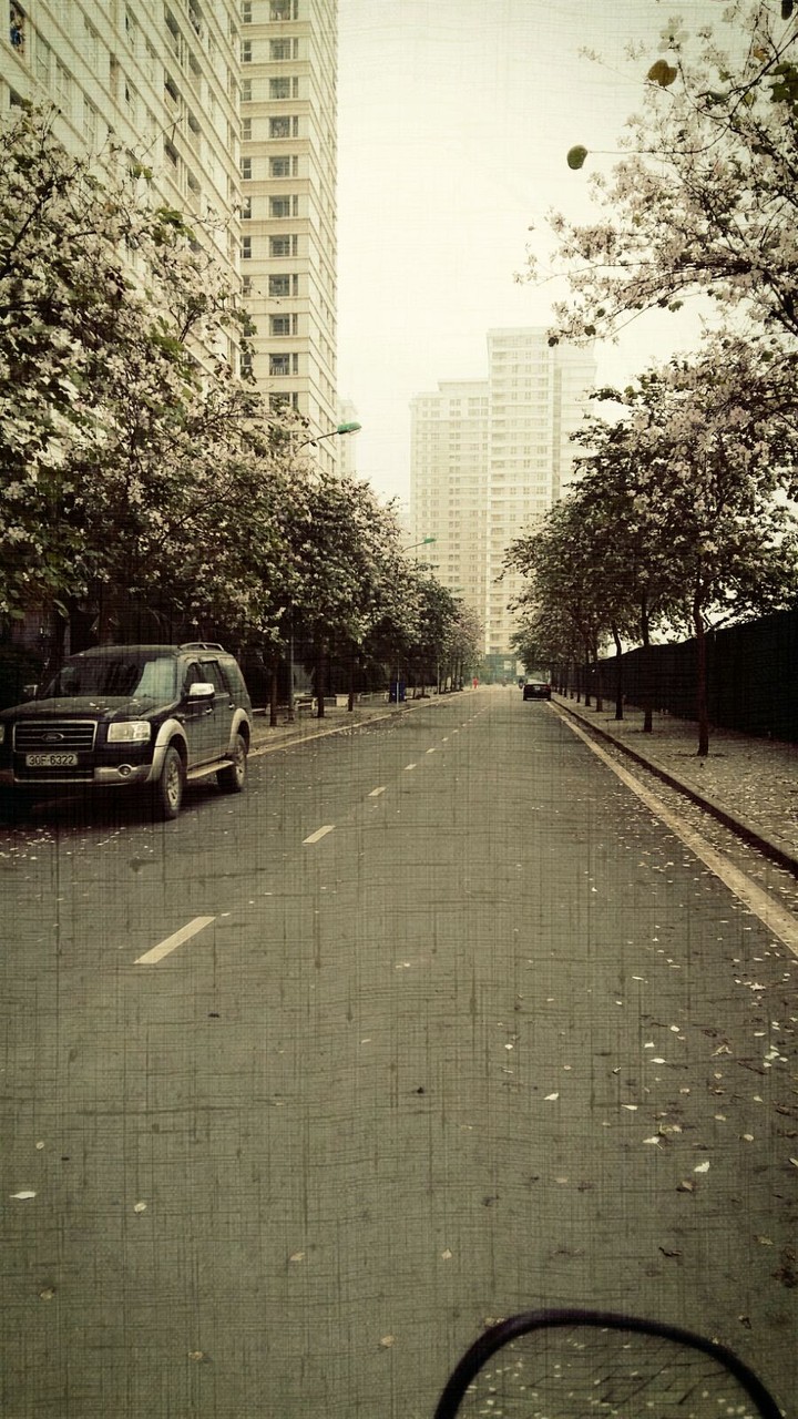 the road we go together was in the memories
