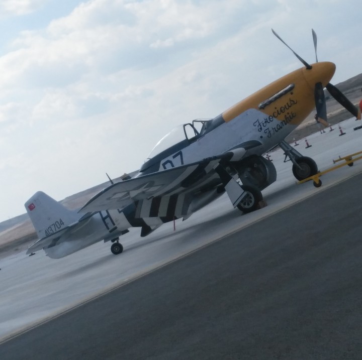 Ferocious Frankie p-51 mustang