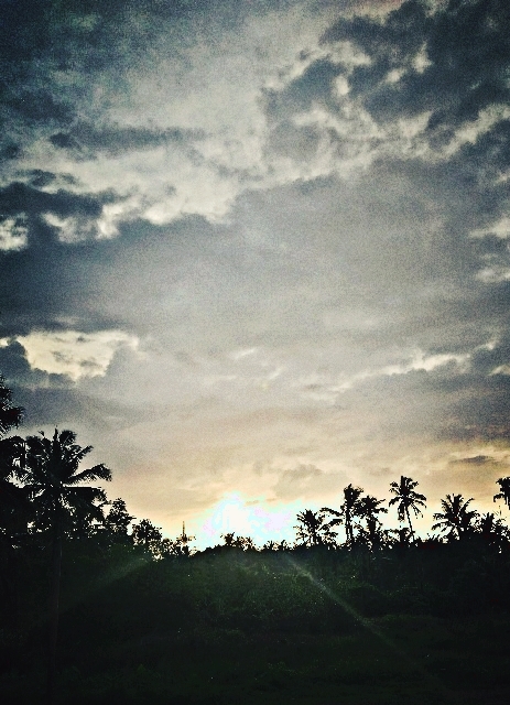 Nature