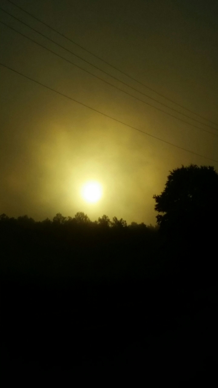 Sun to See