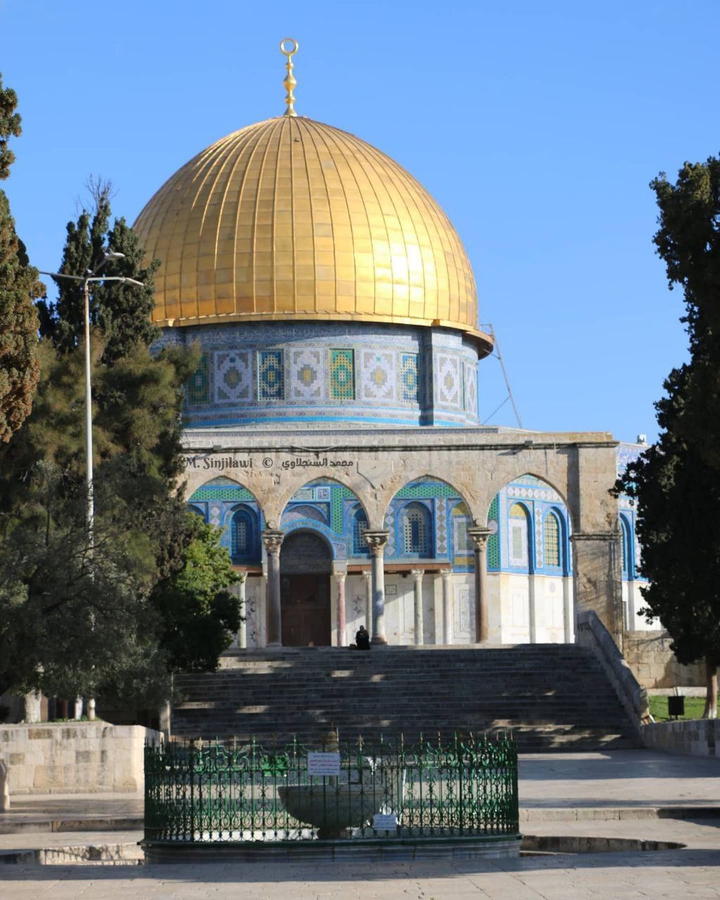 free palestine