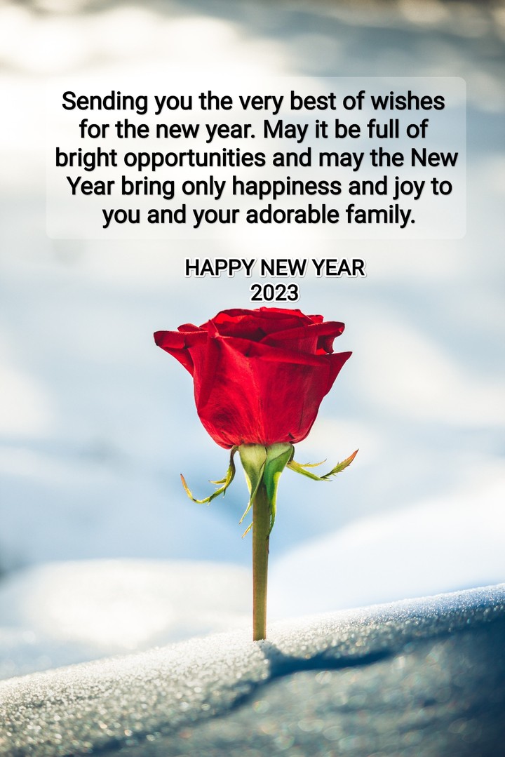 Happy New Year 2023