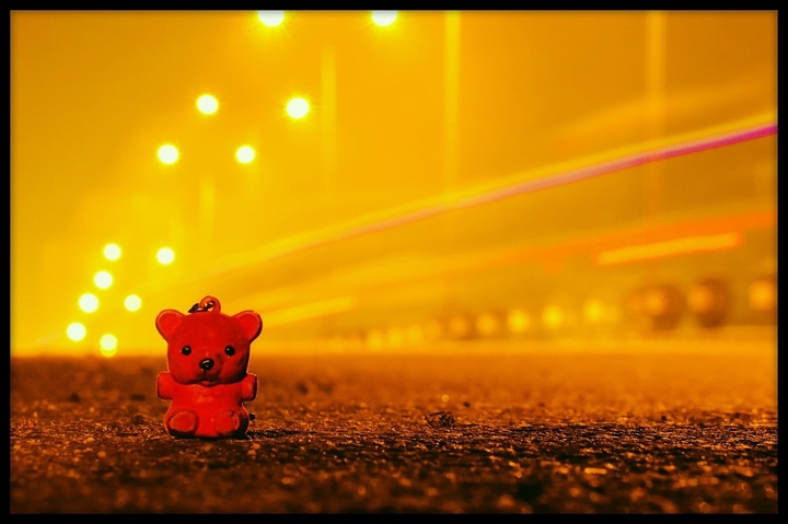 Red Teddy