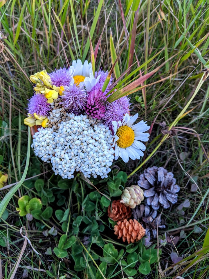 Wild flower bouquet