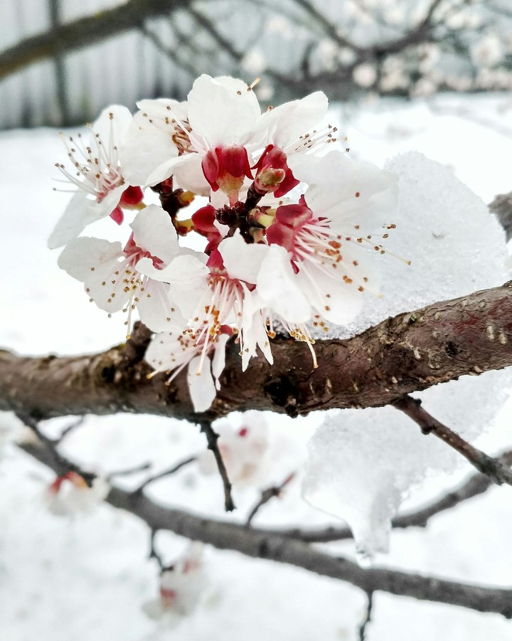 Spring in Ukraine