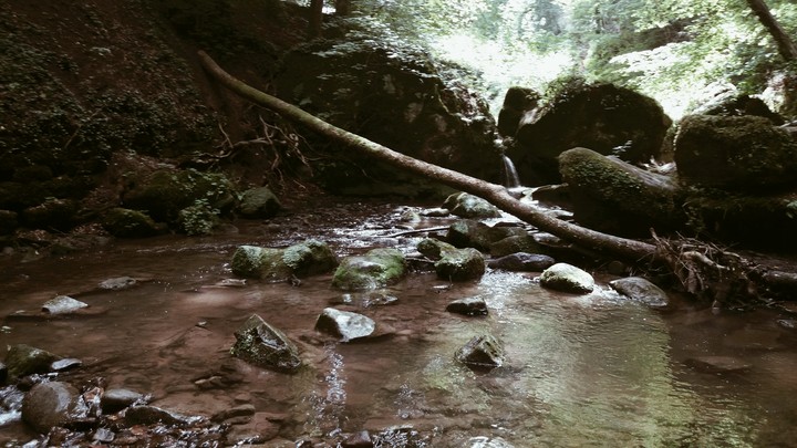 Calm Creek