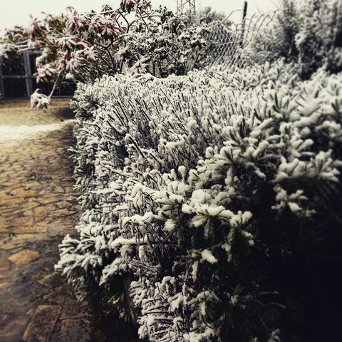 snowing in the sicily? never seen a similar thing