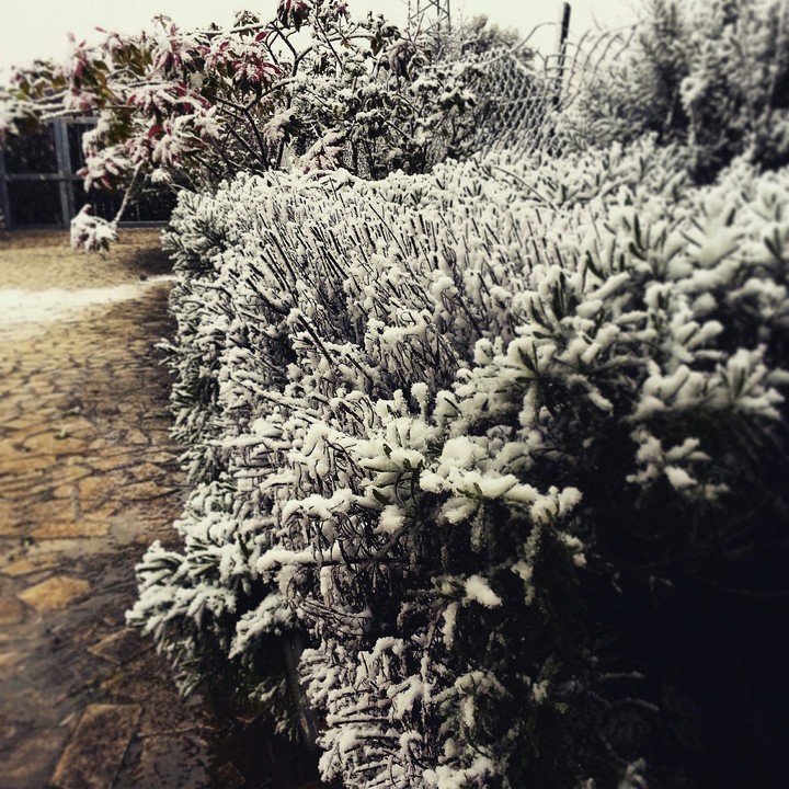 snowing in the sicily? never seen a similar thing