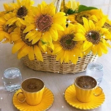 for all friends Thank yuo for my images to look at