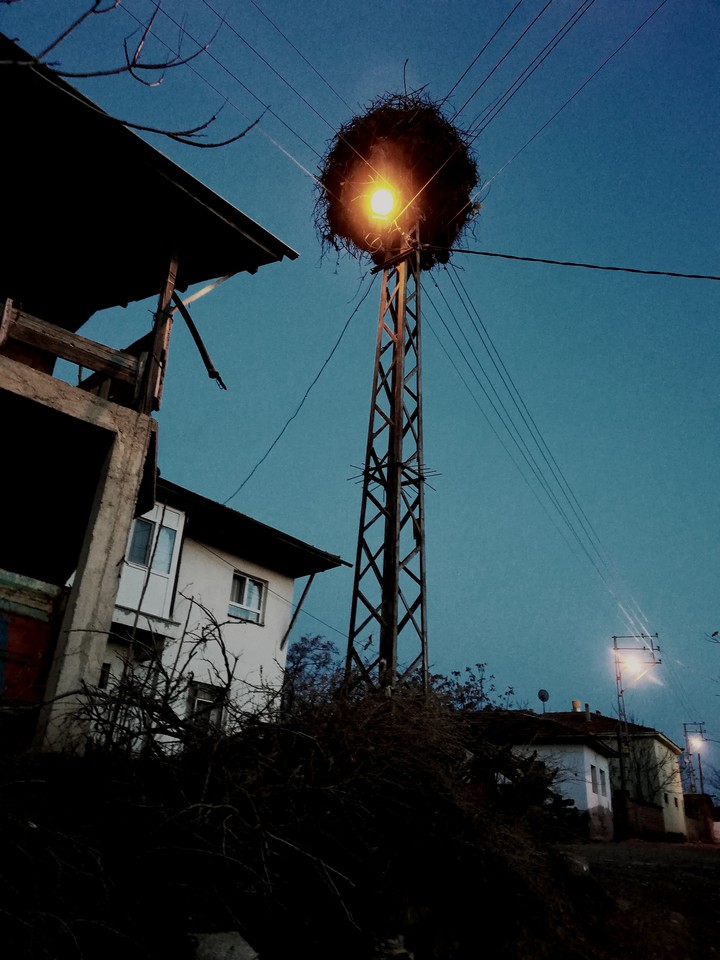 lamp
