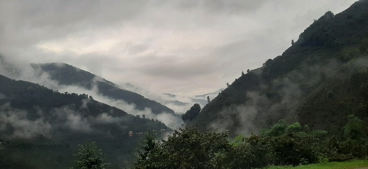 Giresun in a hazelnut season