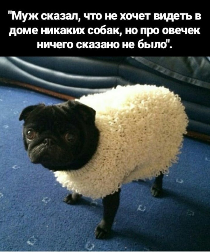 хахаха лол