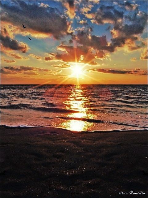 sunset