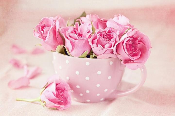 Pink