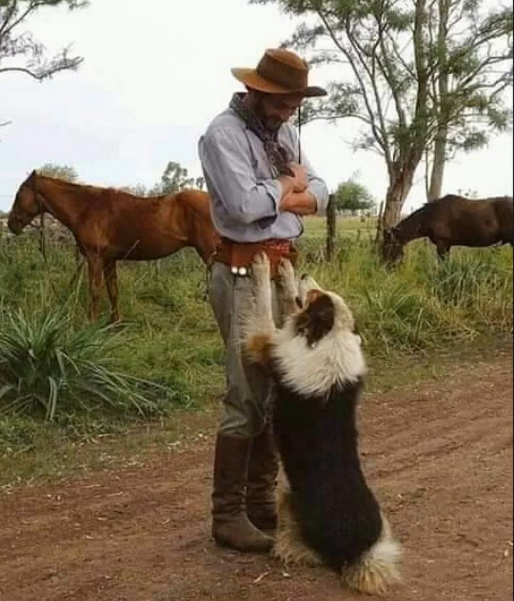 Very beautiful