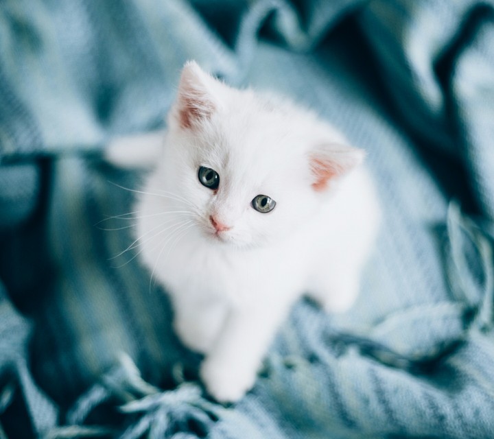 cute