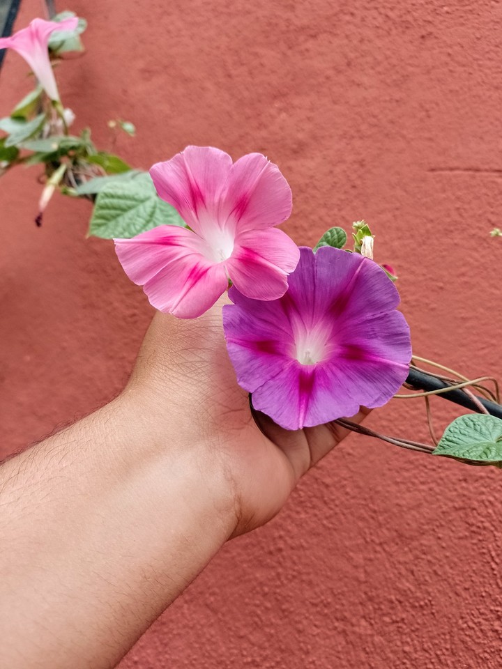 .