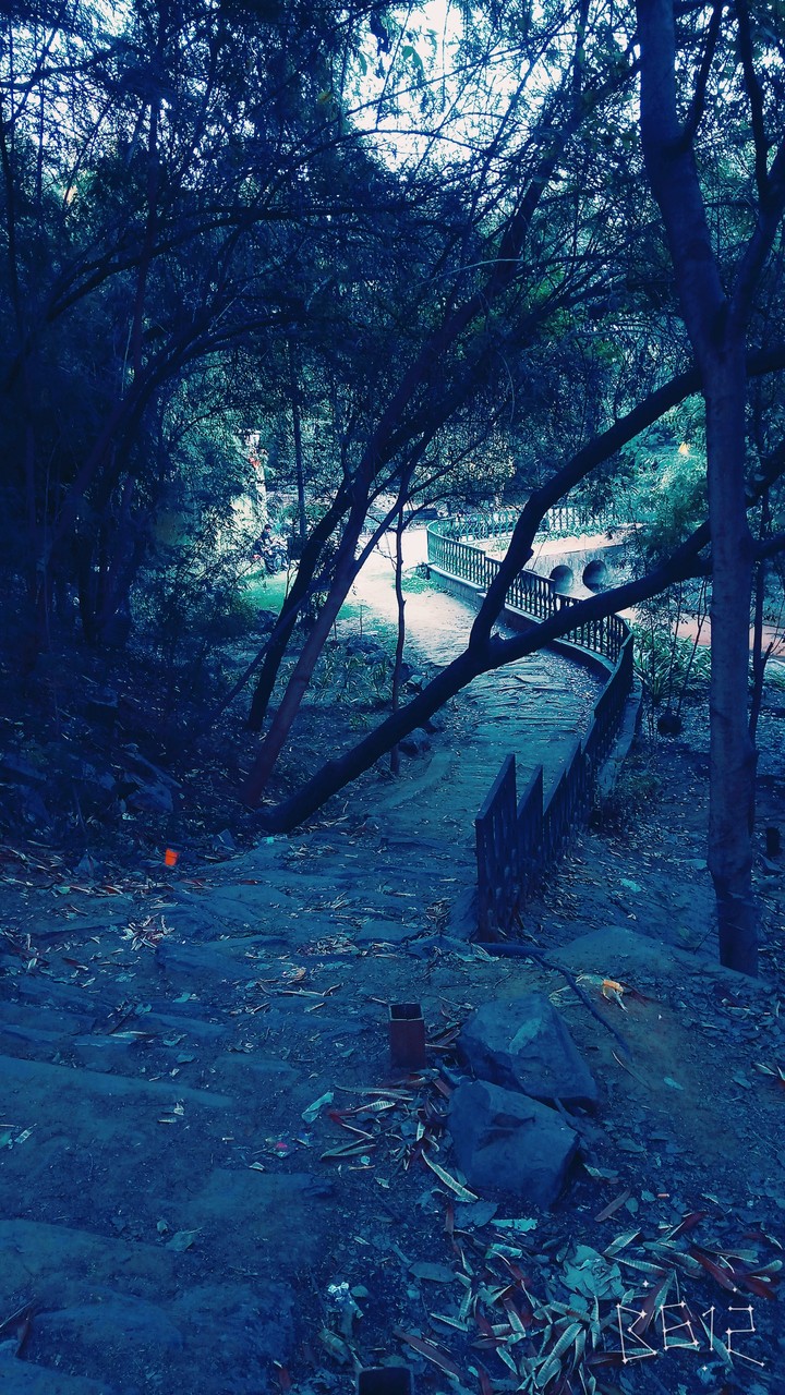 scary road