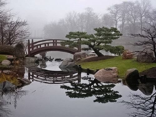 Bridge
