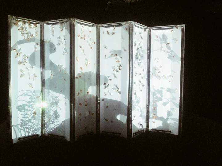 Art aquarium