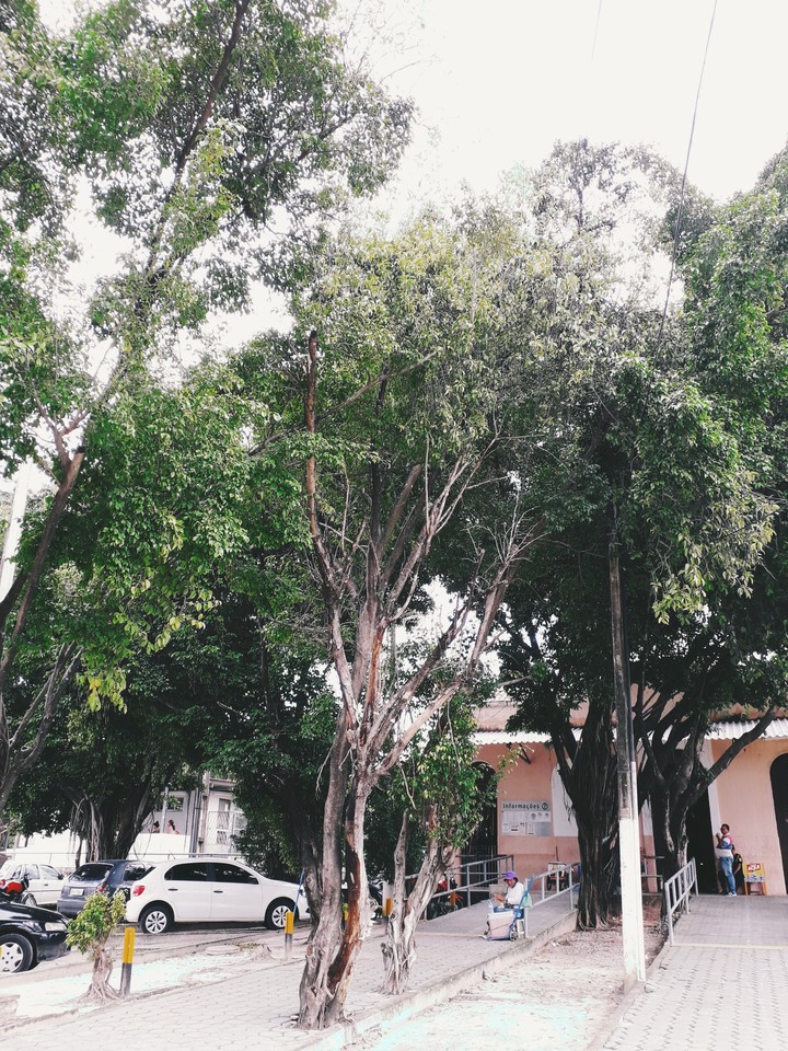 Old train station of Caucaia