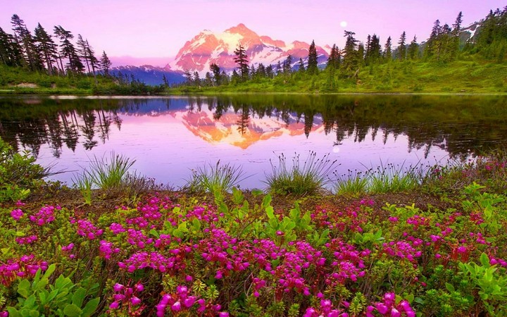 Nature