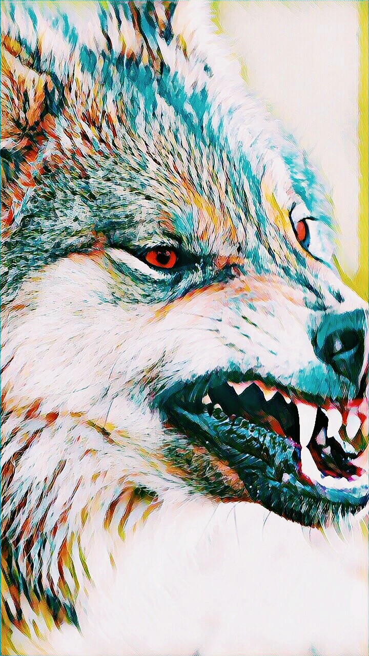 UNGRY WOLF