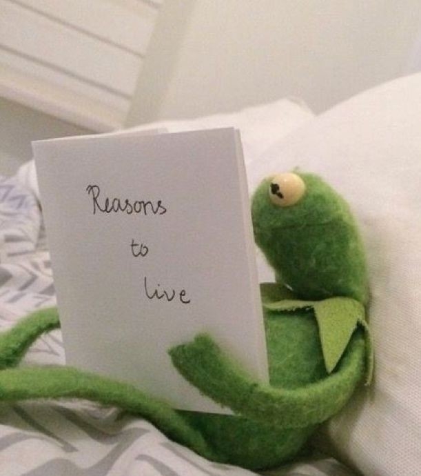 reasons of life