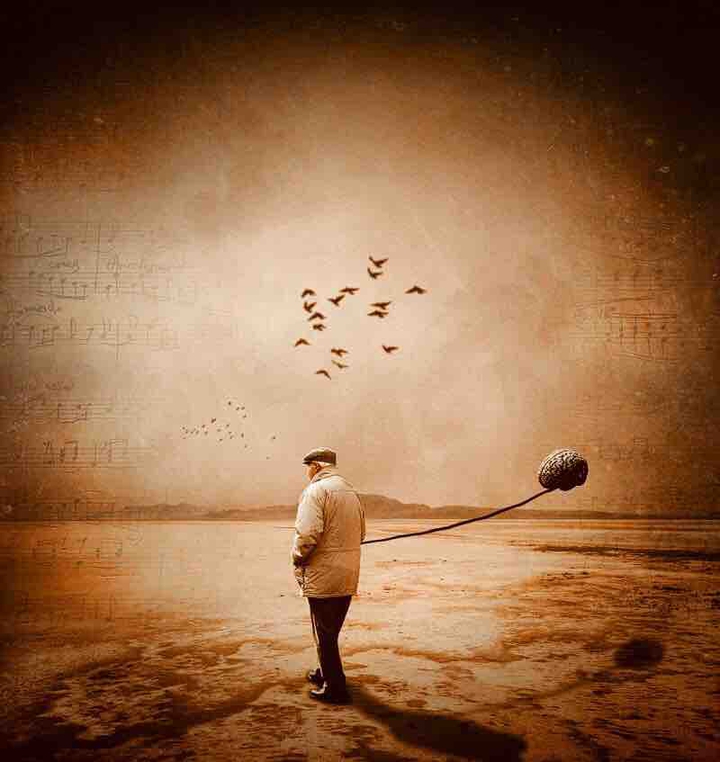 Brief life’s symphony