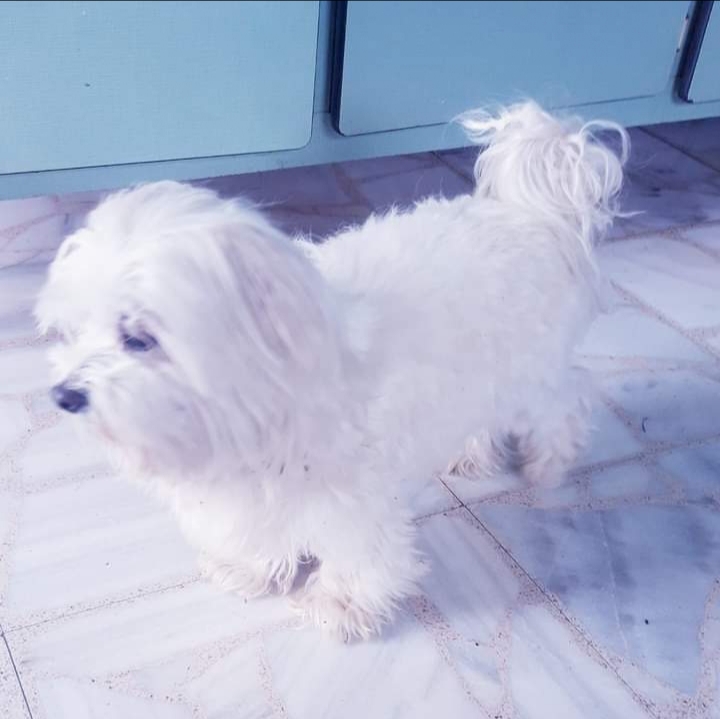Lis ♀️