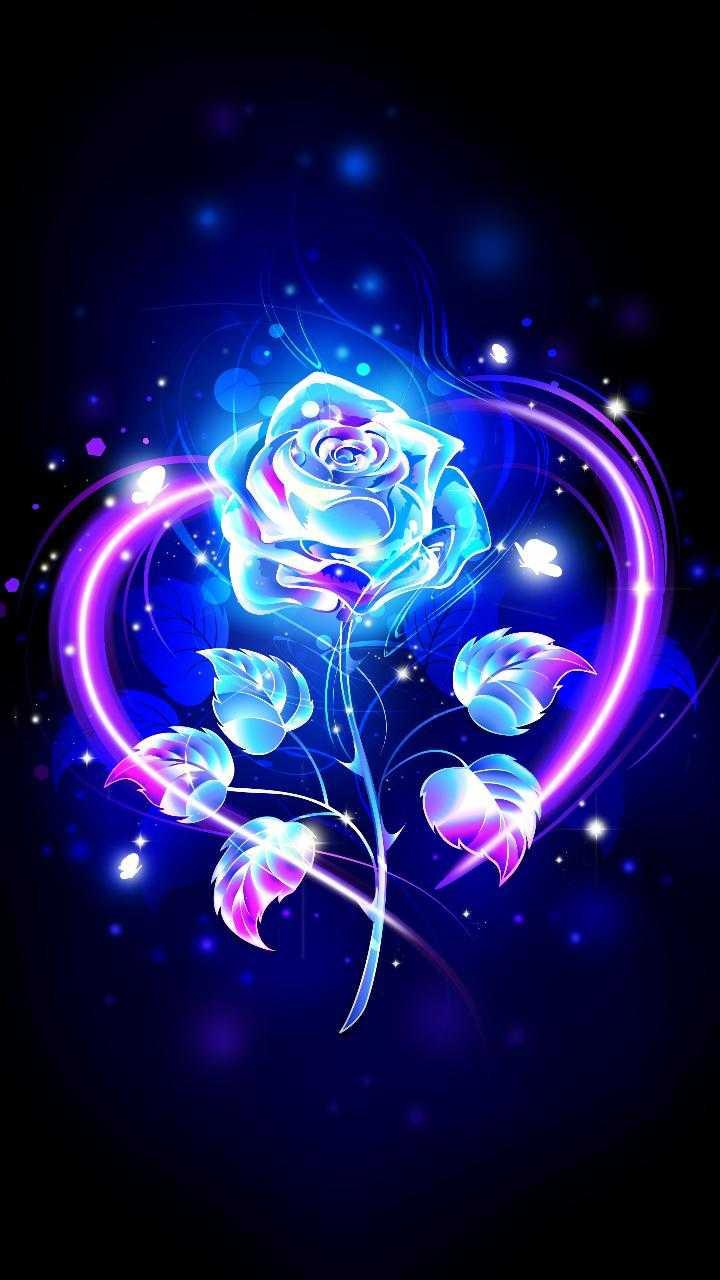 Glowing Rose