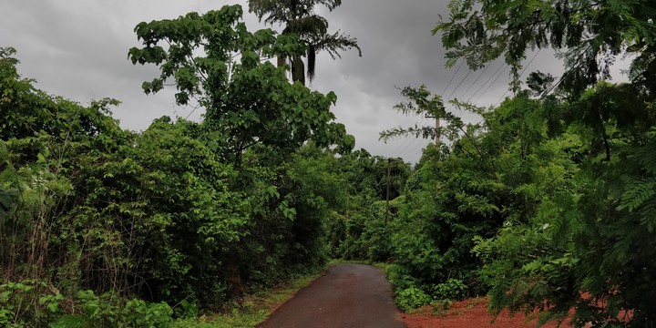 Mangalore