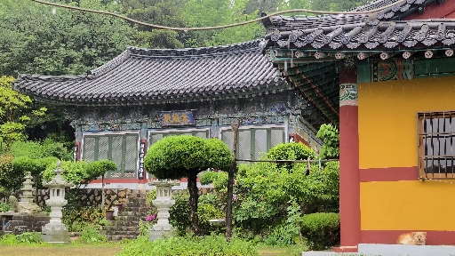 법천사 봄비
