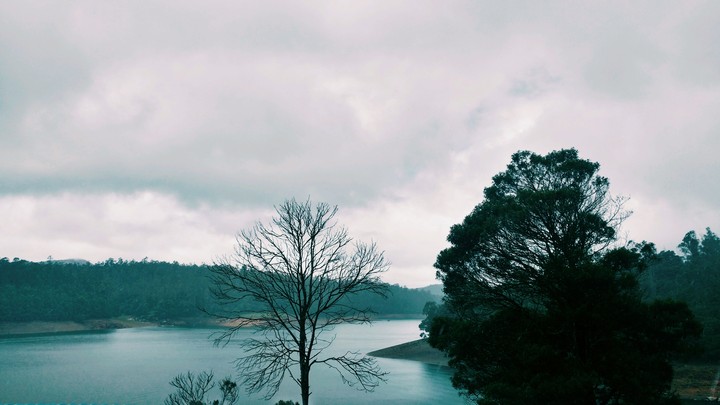 Nature is beautiful