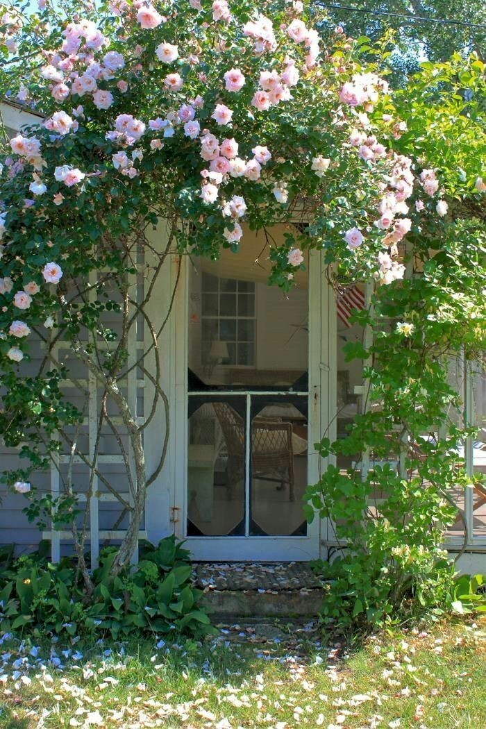 My Garden Cottage