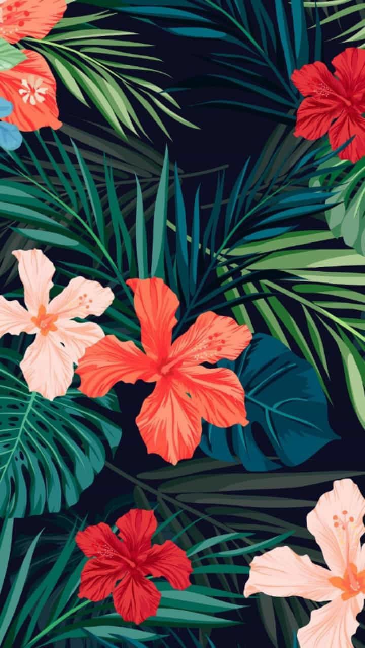 plants / flowers || растения / цветы