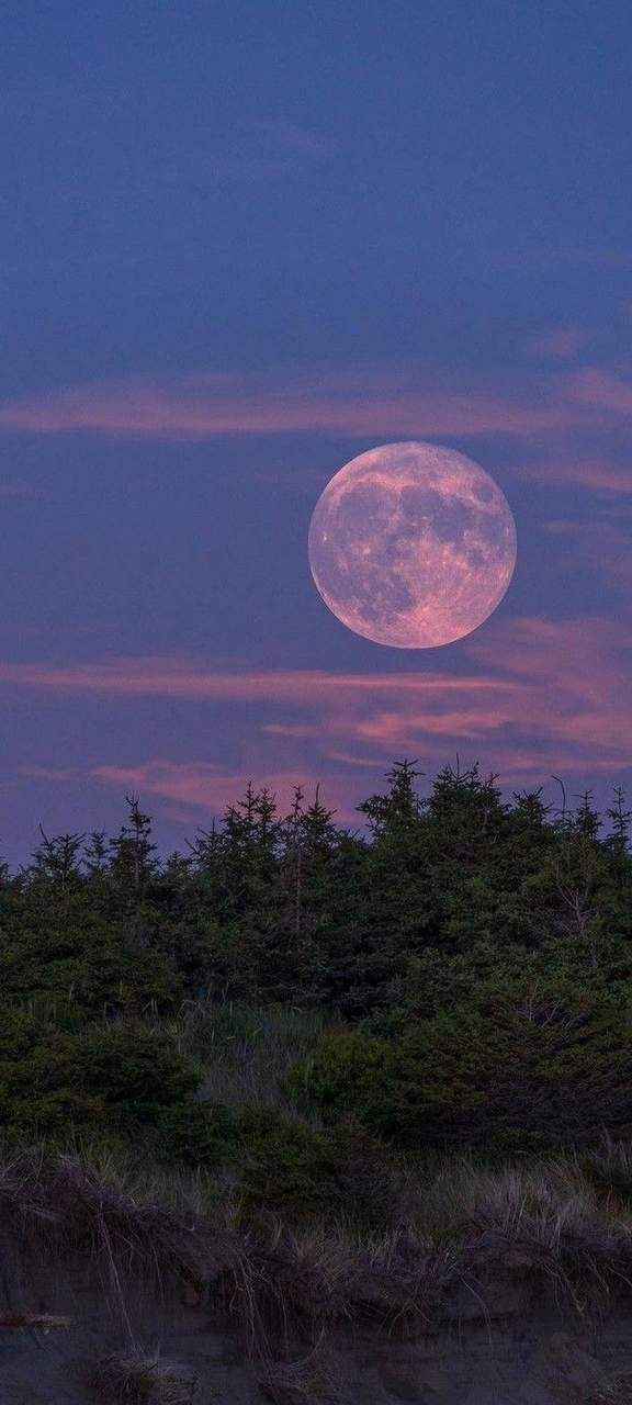 evening, moonlight Hintergrundbilder