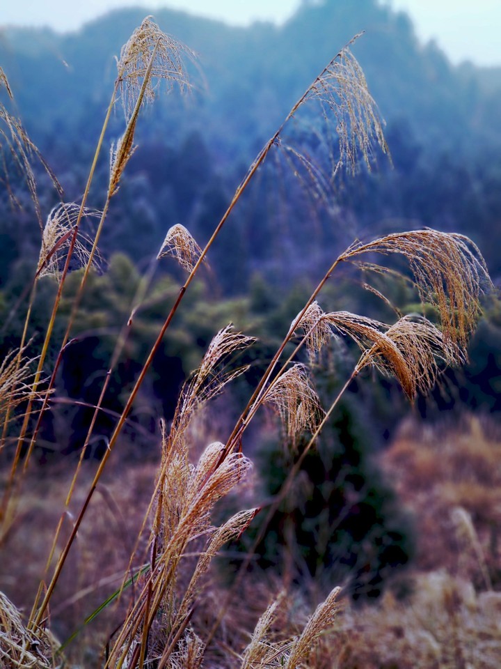 autumn