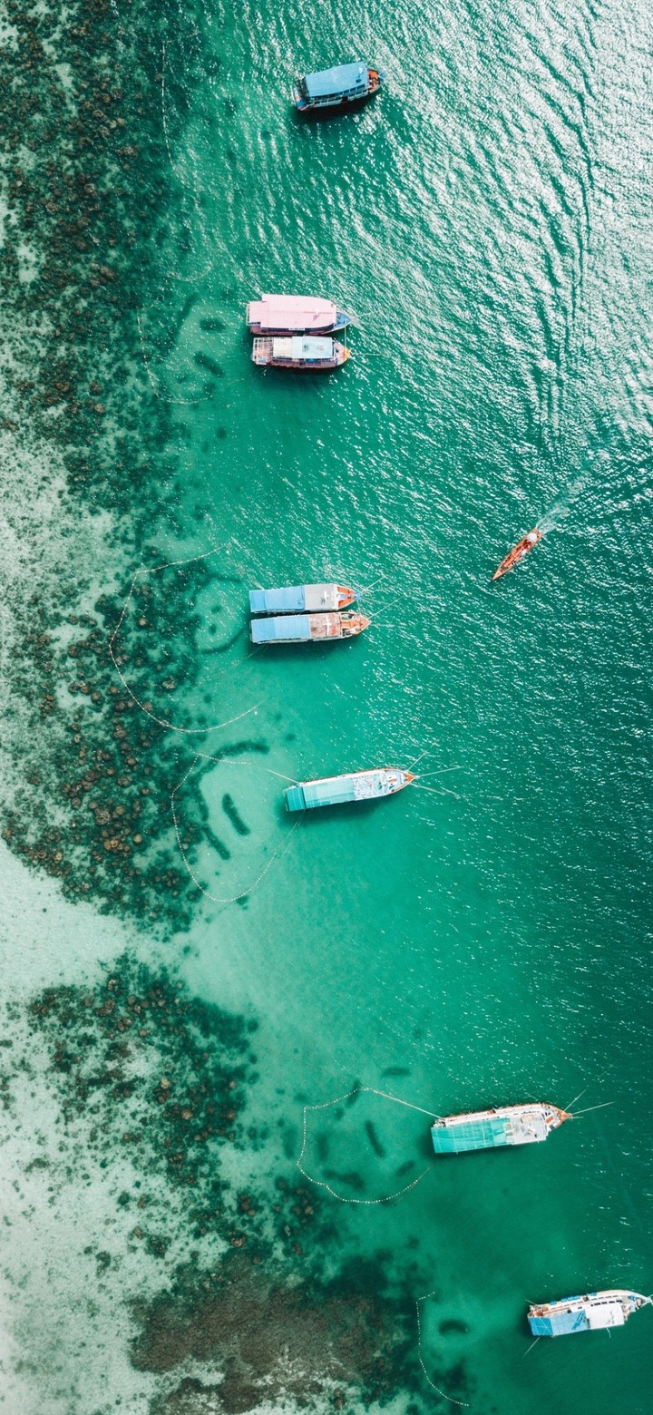 Sea from Above