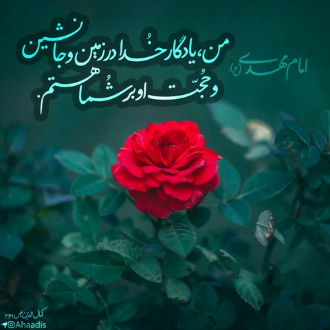 امام مهدی (عج)